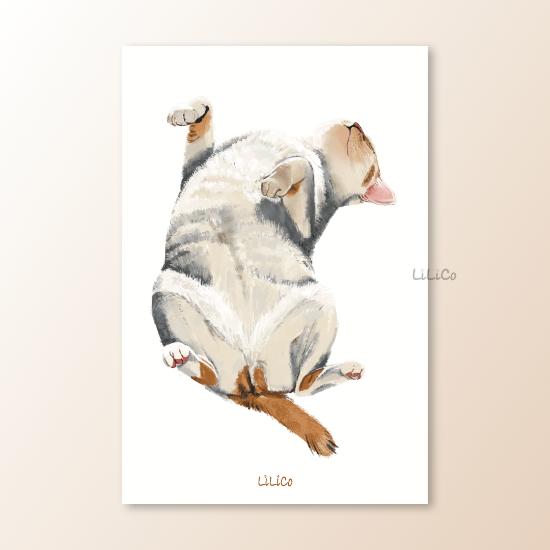 Napping Cat | A6 Print