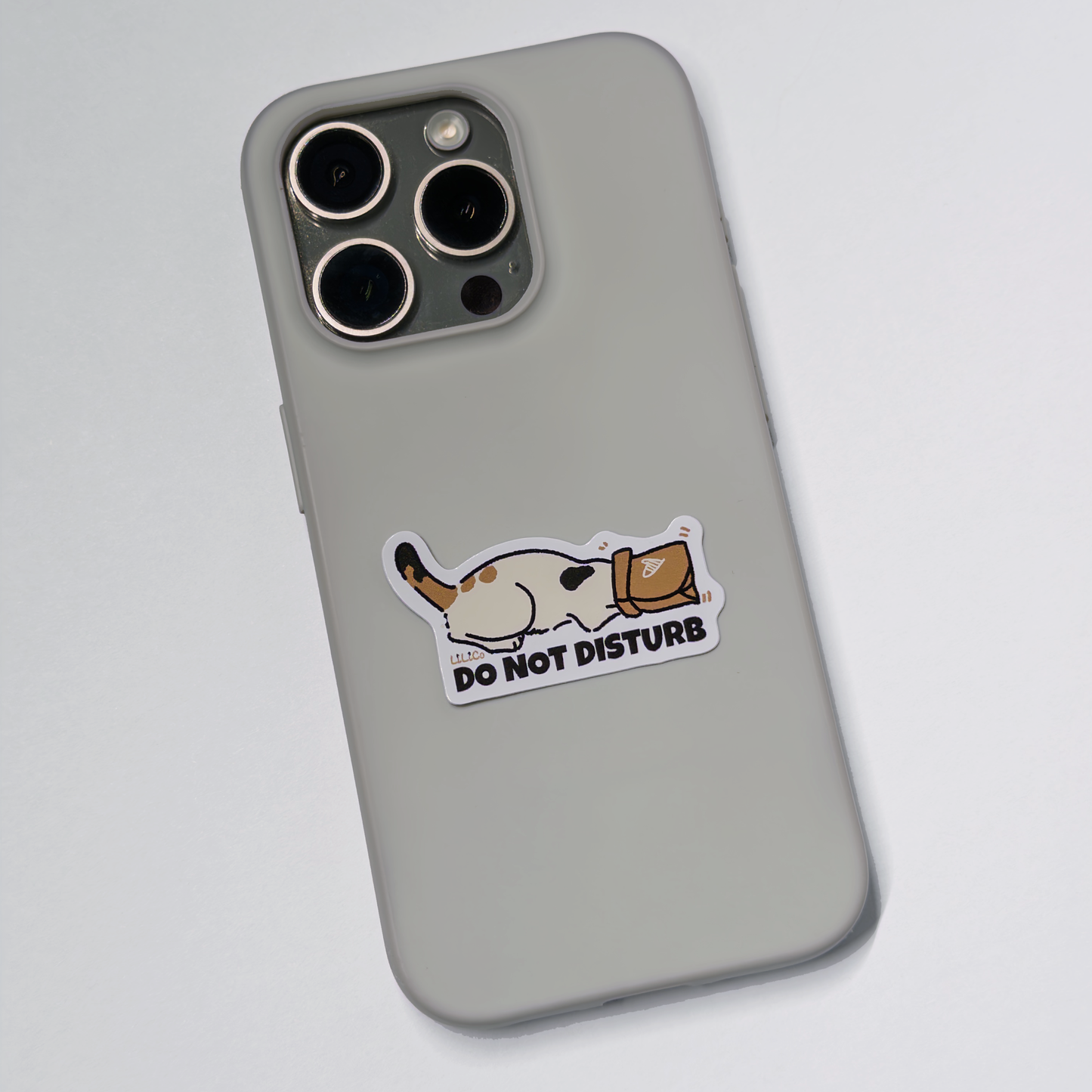 Do Not Disturb | Vinyl Sticker