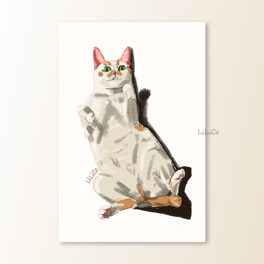 Belly Trap | A6 Print