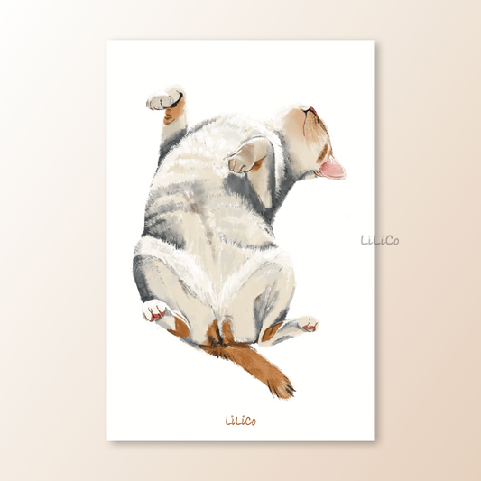 Napping Cat | A6 Print