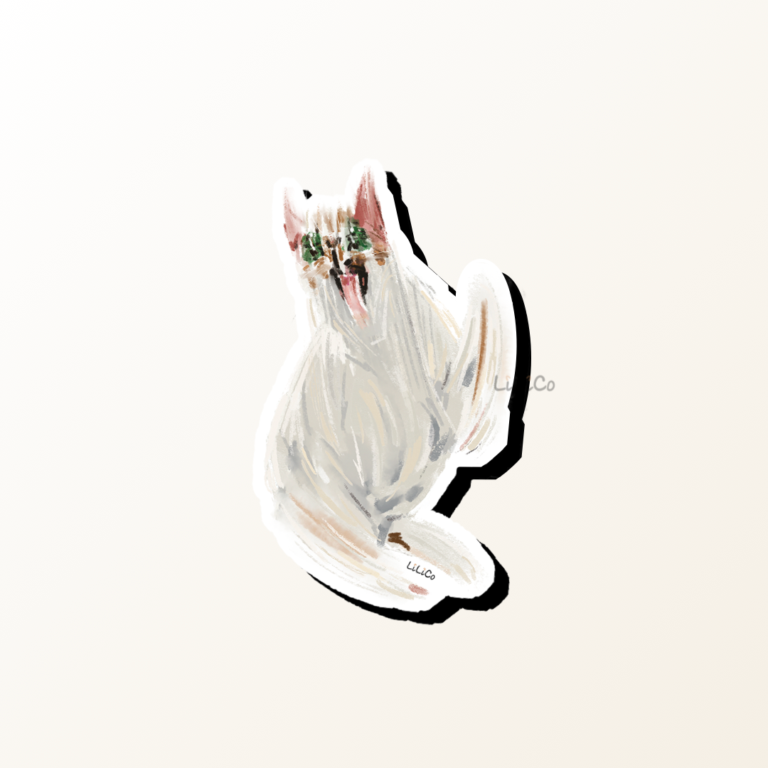 Crazy Cat | Vinyl Sticker