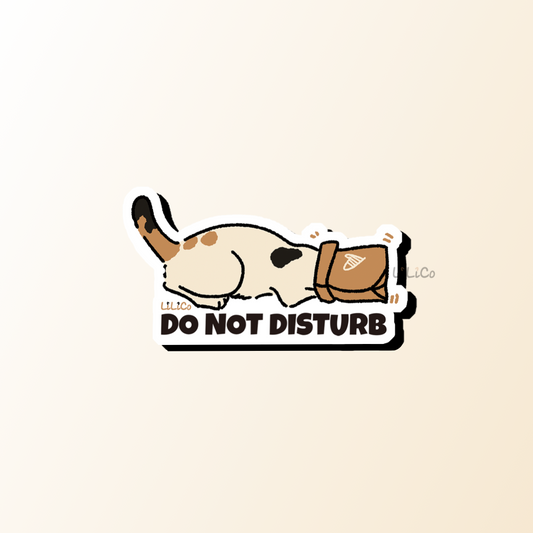 Do Not Disturb | Vinyl Sticker