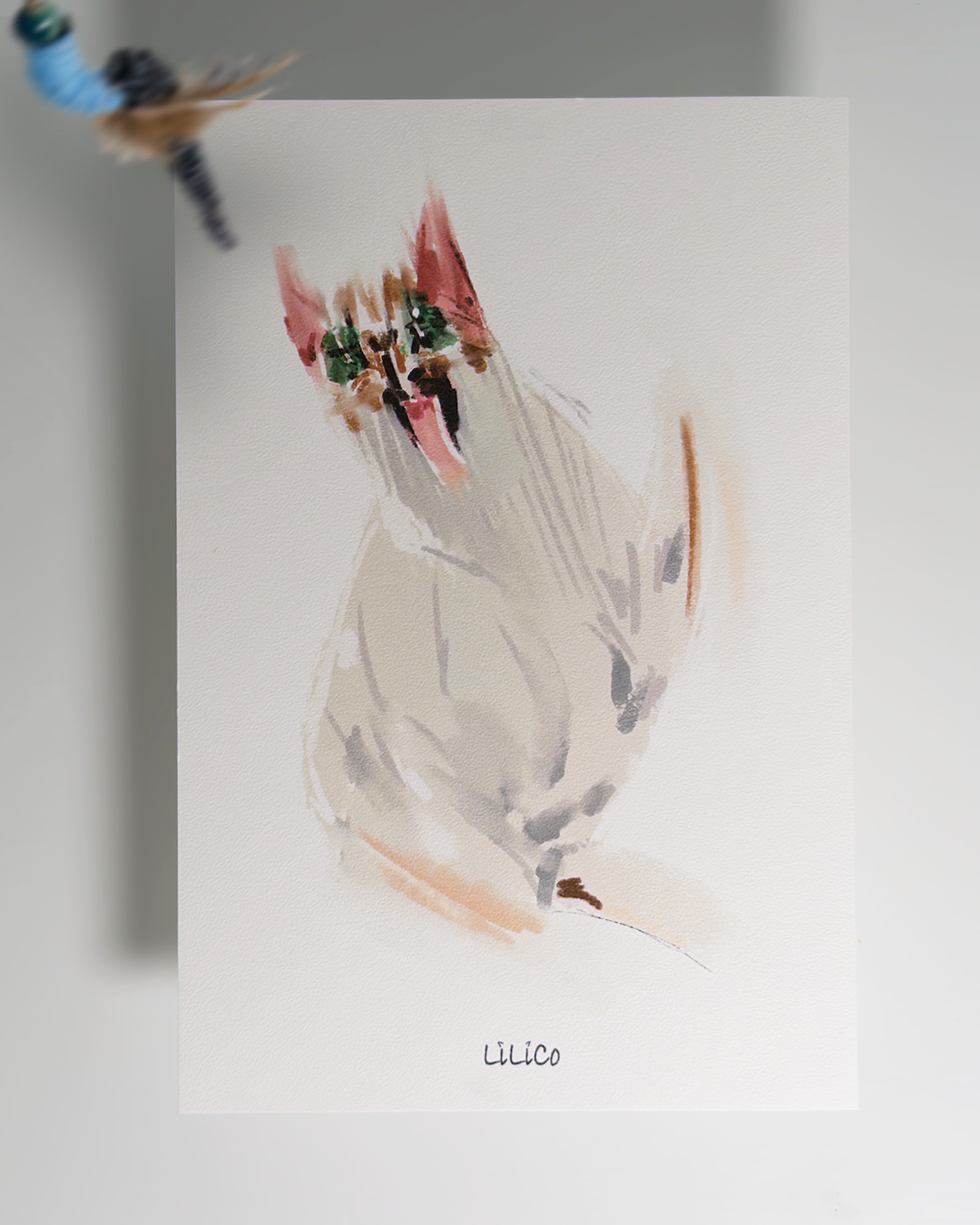 CrAzY cAT 01 | A6 Print