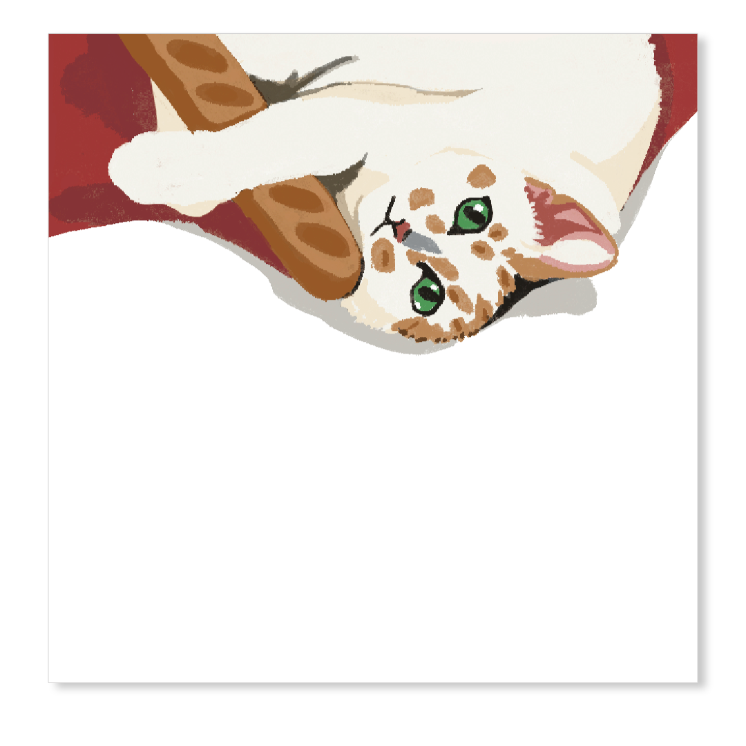 Meownitoring | Memo Pad