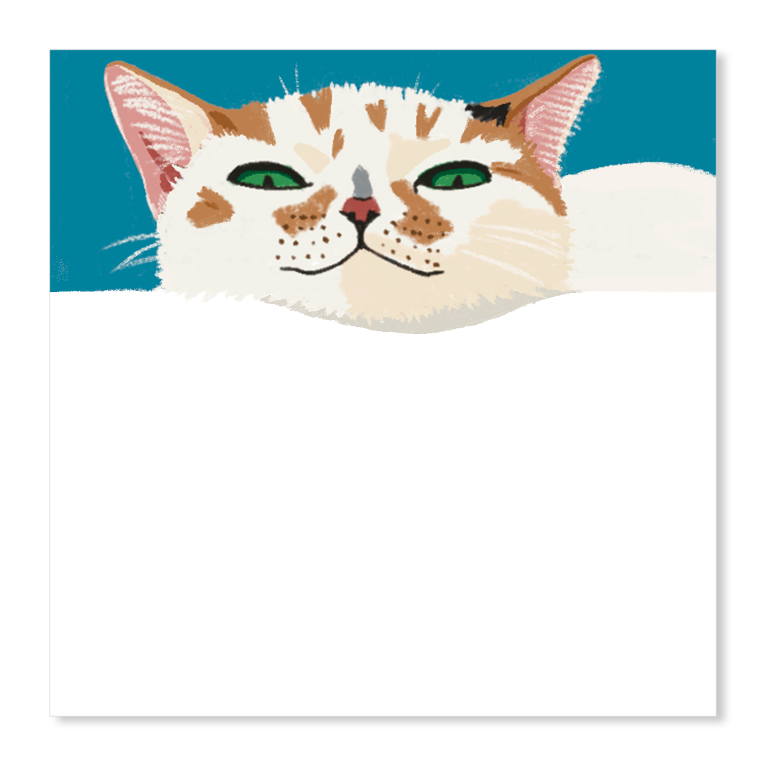 Meownitoring | Memo Pad